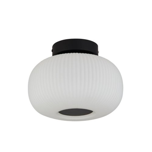 Searchlight 10271-1BK Lumina stropní svítidlo černé a sklo - obrázek