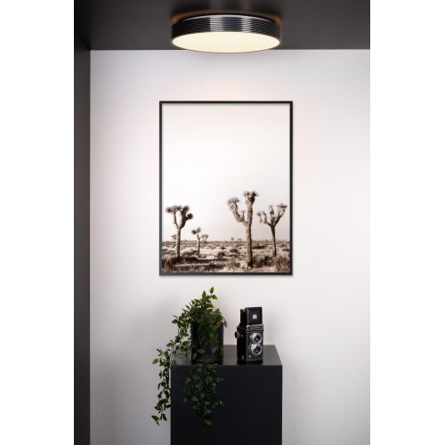 LUCIDE MALIN Ceiling Light Black - obrázek