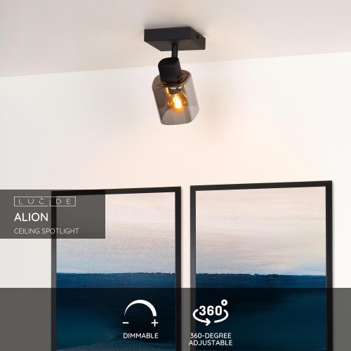 LUCIDE ALION Ceiling spot light 1x E14 Black/Smoke Glass - obrázek