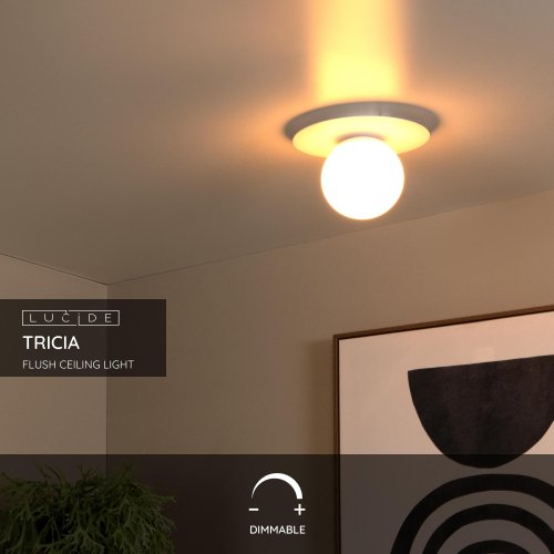 LUCIDE Lucide TRICIA - Flush ceiling light - D25 cm - 1xE27 - White - obrázek