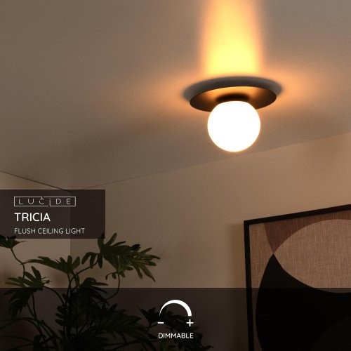 LUCIDE Lucide TRICIA - Flush ceiling light - ? 25 cm - 1xE27 - Black - obrázek