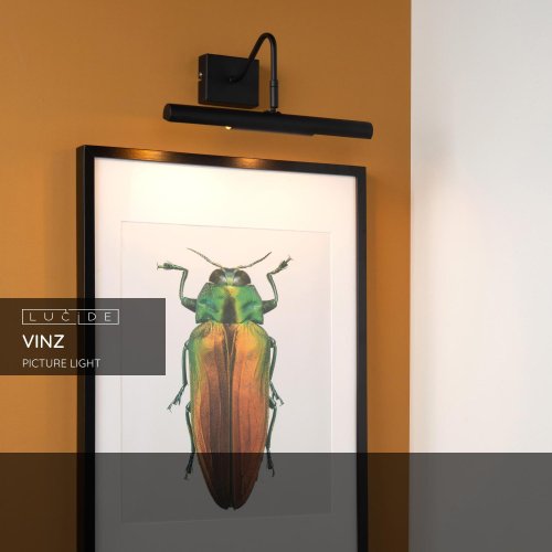 LUCIDE Lucide VINZ - Picture light - 2xG9 - Black nástěnné svítidlo - obrázek