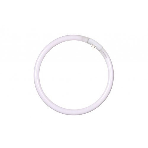 LUCIDE Lampa - T5 circl.32W (4 pins-24cm) c.w. - 6400K žárovka, zářivka