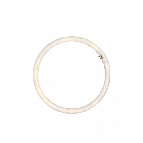 LUCIDE Lampa - T5 circl.28W (4 pins-24cm) c.w. - 4800K žárovka, zářivka