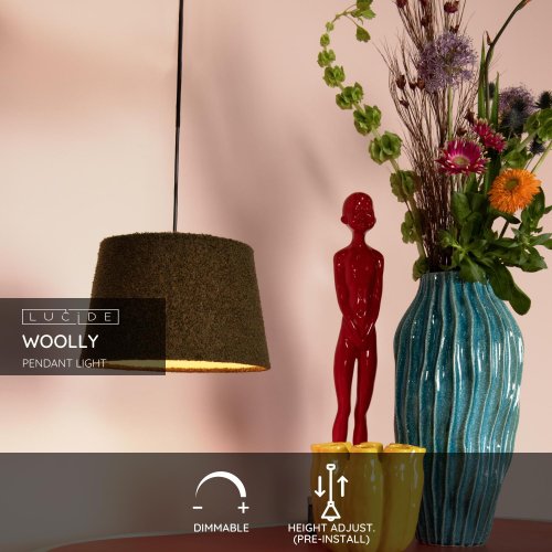 LUCIDE Lucide WOOLLY - Pendant light - D28 cm - 1xE27 - Green závěsné svítidlo, lustr - obrázek
