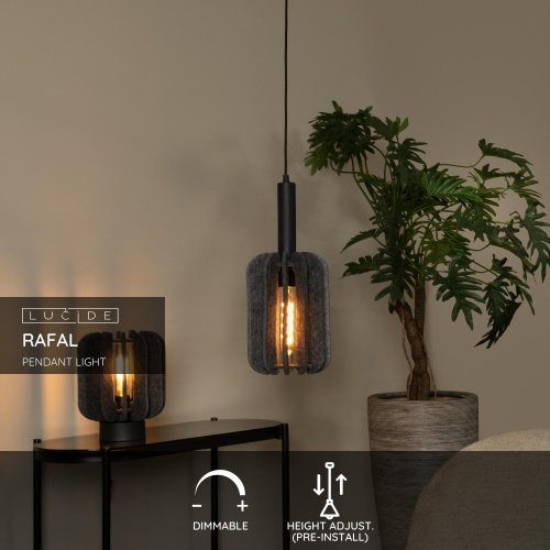 LUCIDE Lucide RAFAL - Pendant light - Ă 20 cm - 1xE27 - Grey závěsné svítidlo, lustr - obrázek