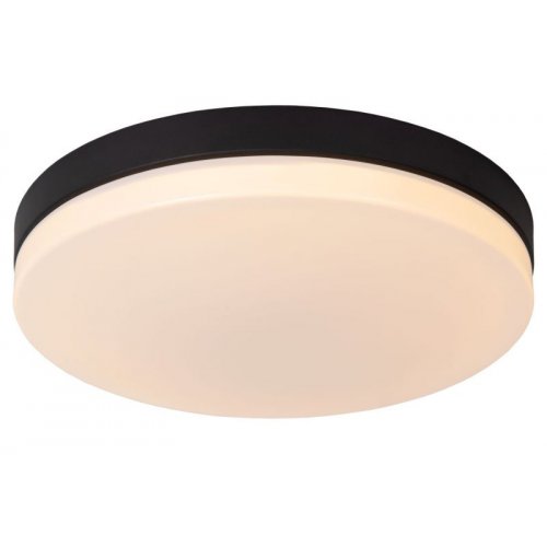 LUCIDE Lucide BISKIT - Flush ceiling light Bathroom - Ă40 cm - LED - 1x36W 2