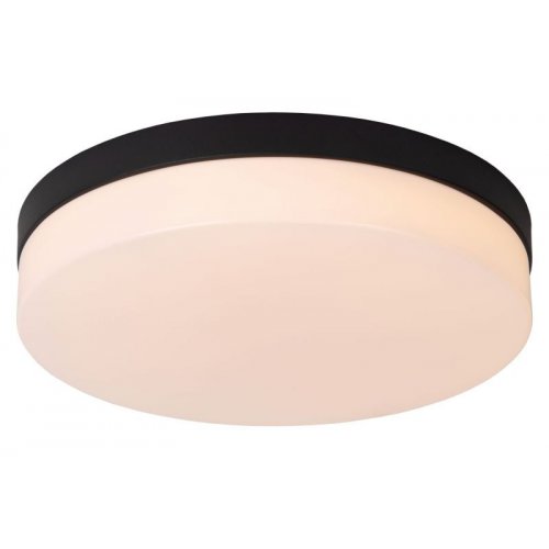 LUCIDE Lucide BISKIT - Flush ceiling light Bathroom - Ă34,5 cm - LED - 1x24W