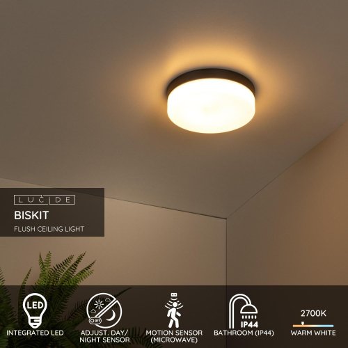 LUCIDE Lucide BISKIT - Flush ceiling light Bathroom - Ă28 cm - LED - 1x18W 2 - obrázek