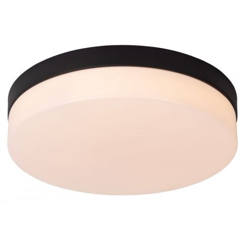 LUCIDE Lucide BISKIT - Flush ceiling light Bathroom - Ă28 cm - LED - 1x18W 2
