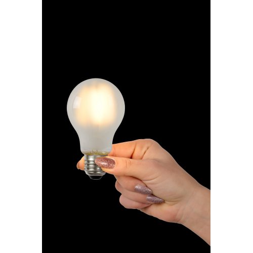 LUCIDE Bulb LED A60 Filament E27/5W 450LM 2700K Frosted, žárovka, zářivka - obrázek