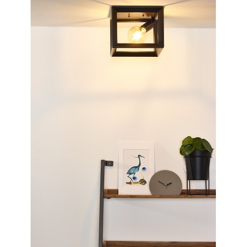 LUCIDE THOR Ceiling Light E27 L25 W25 H20cm Iron Grey, stropní svítidlo