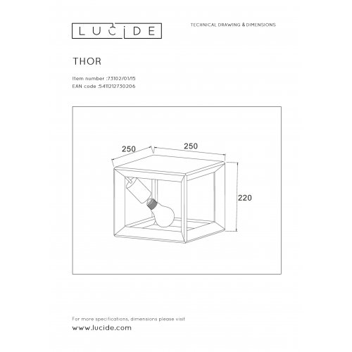 LUCIDE THOR Ceiling Light E27 L25 W25 H20cm Iron Grey, stropní svítidlo - obrázek