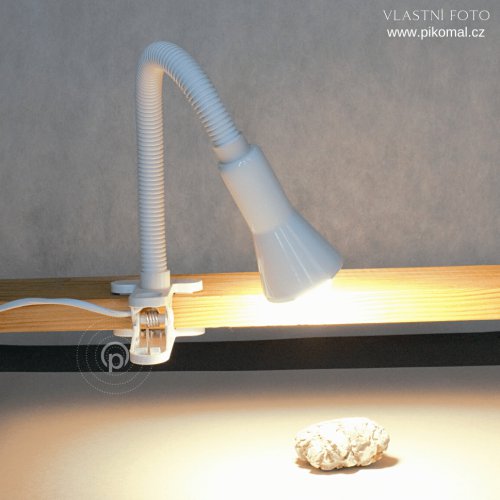 SEARCHLIGHT EU4122WH TABLE stolní lampa