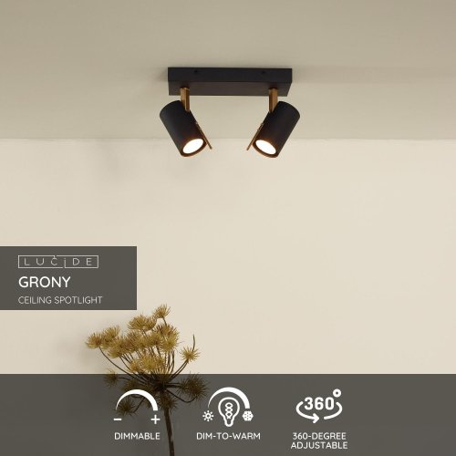 LUCIDE GRONY Ceiling Spotlight 2xGu10/5W  Black/Gold - obrázek